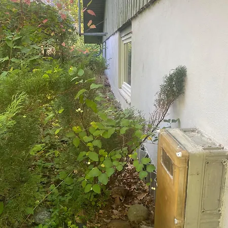 Beautiful In With 3 Bedrooms And Wifi *